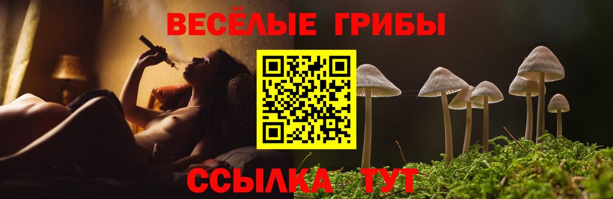 Псилоцибиновые грибы MAGIC MUSHROOMS  Псилоцибиновые грибы прущие грибы  дарнет шоп  Снежинск  Вход с VPN 
